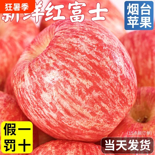 苹果正宗烟台红富士新鲜水果应当季整箱包邮山东脆甜多汁冰糖心