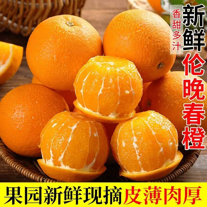正宗湖北宜昌脐橙新鲜橙子10斤当季水果孕妇现发产地生鲜阳光现摘