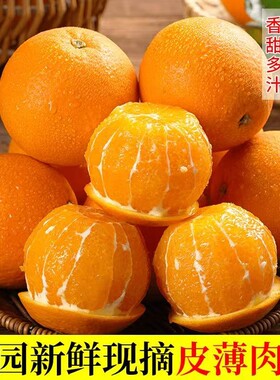 正宗湖北宜昌脐橙新鲜橙子10斤当季水果孕妇现发产地生鲜阳光现摘