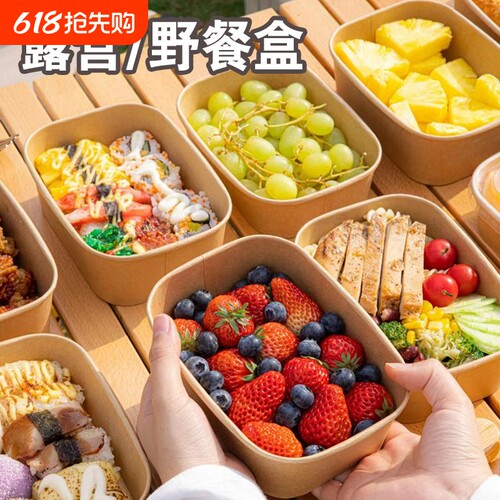春游野餐便当盒露营水果甜品打包