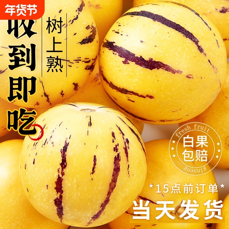 人参果新鲜水果云南石林树上熟圆果旗舰店七彩整箱包邮大果鲜果,水产肉类/新鲜蔬果/熟食,人参果,淘宝优惠券,粉丝福利购,淘宝优惠卷