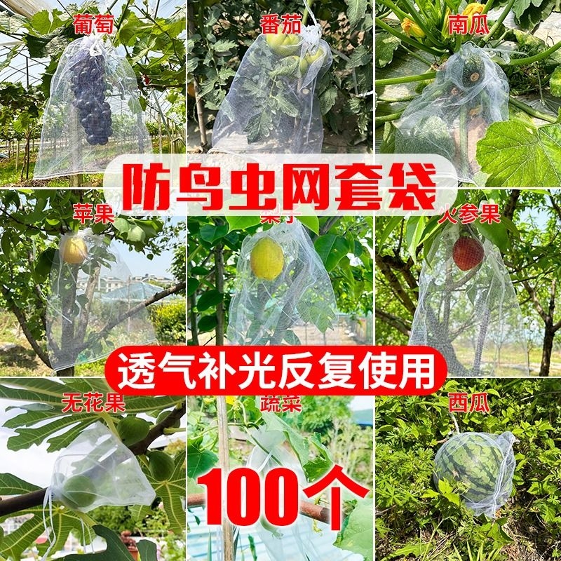 水果套袋防鸟防虫专用网袋葡萄无花果瓜果枇杷草莓杨桃子保护袋子 鲜花速递/花卉仿真/绿植园艺 其它园艺用品 原图主图