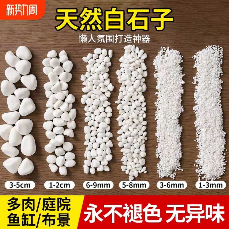 小白石子庭院造景鱼缸鹅卵石天然颗粒原石养花多肉盆栽装饰铺面石