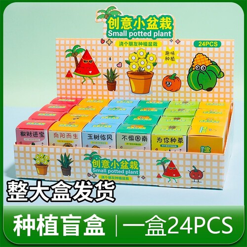 创意网红盆栽盲盒|超1.2万次加购
