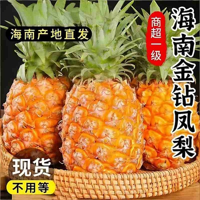 海南金钻凤梨正宗台农17号手撕香水菠萝新鲜水果大甜无眼应季整箱