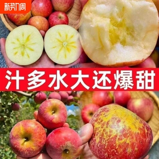 脆甜红富士新鲜苹果水果整箱 正宗冰糖心丑苹果当季 今日低价