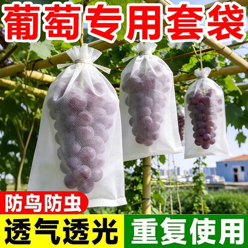 自带抽绳套袋防虫防鸟防雨水果袋