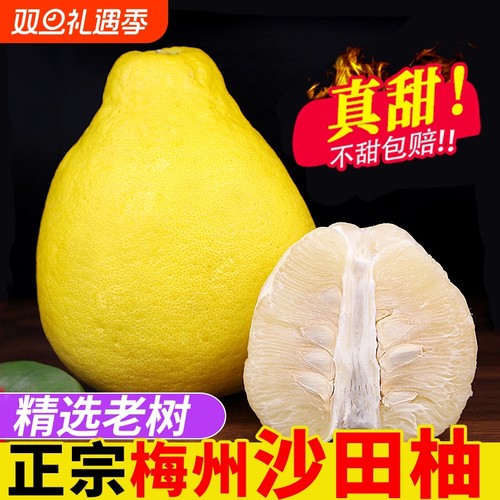 精品果纯甜梅州沙田柚
