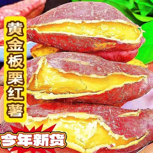 正宗板栗薯新鲜现挖粉糯香甜无筋黄心番薯农家沙地板栗红薯地瓜
