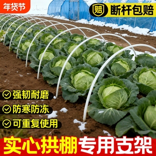 拱棚支架玻璃纤维菜地菜园农用家用拱条大棚拱杆骨架保温暖棚防冻