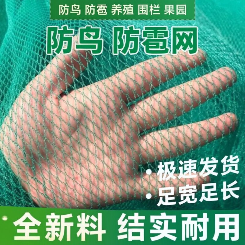 围网小网孔无结网养鸡网防鸟网养殖网尼龙网果树网冰雹网渔网