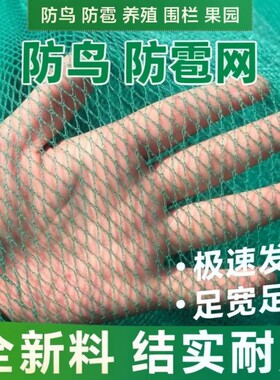 围网小网孔无结网养鸡网防鸟网养殖网尼龙网果树网冰雹网渔网