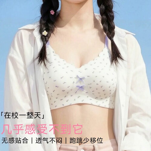 蕾丝内衣女小胸聚拢薄款透气无钢圈防下垂收副乳文胸罩二阶段固定
