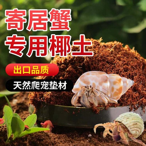 寄居蟹专用椰土乌龟冬眠爬宠通用