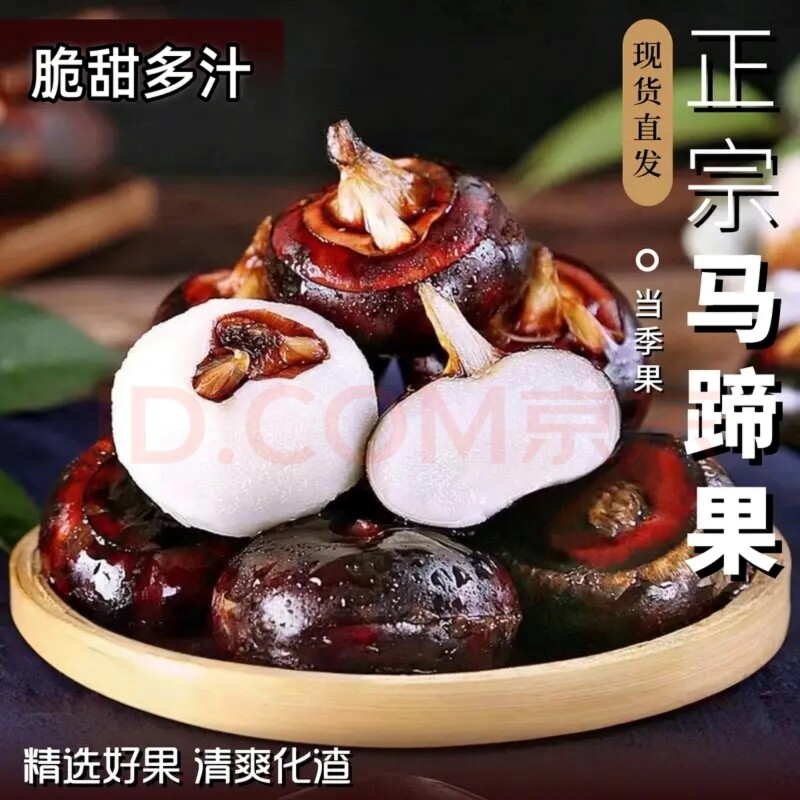 农家马蹄荸荠3/5斤应季水果蔬菜现挖新鲜马蹄大果地栗梨奶香脆甜