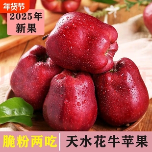 顺丰包邮甘肃天水花牛苹果新鲜水果粉面苹果蛇果丑苹果整箱现摘