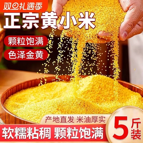 内蒙古赤峰敖汉小米优质黄小米