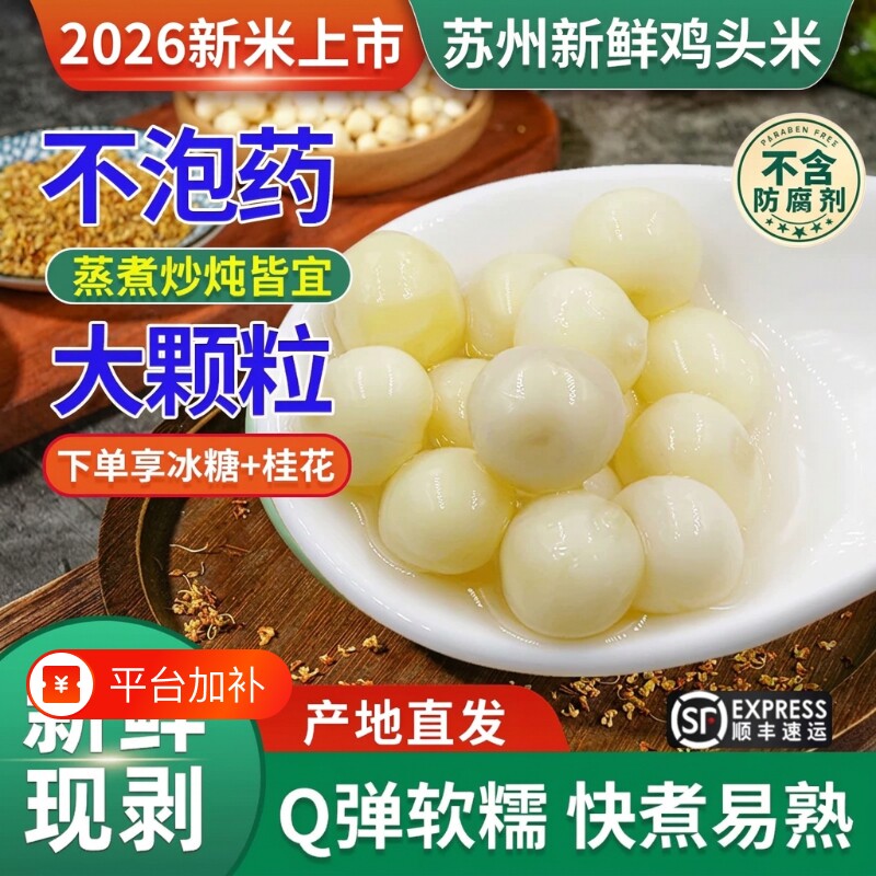 鸡头米2026年新货新鲜苏州特产芡实欠茨实正宗太湖大颗粒大果苏芡