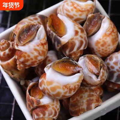 花螺新鲜贝类海鲜干货