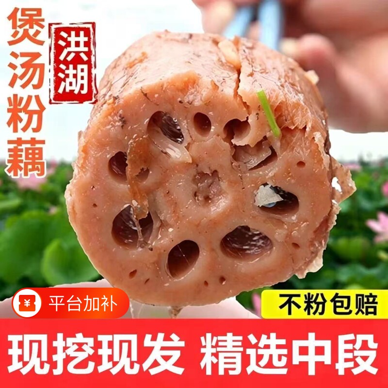 正宗洪湖莲藕新鲜煲汤粉藕现挖湖藕面藕红藕湖北特产泥藕蔬菜5斤