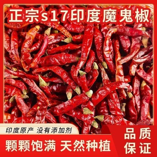 印度魔鬼辣特辣小米椒批发超辣干椒红辣椒鸡翅S17魔鬼椒辣椒粉
