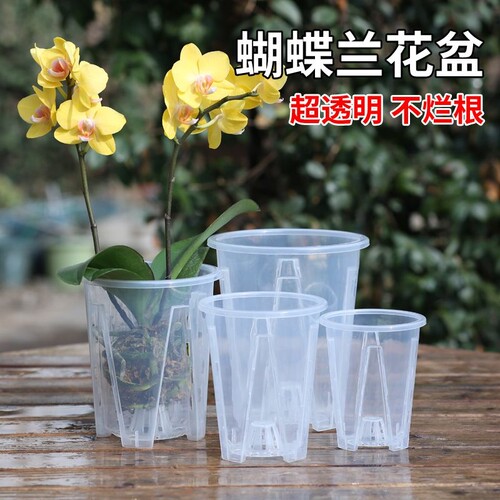 透明青山控根盆兰花水苔蝴蝶兰专用花盆塑料透气镂空大号家用君子