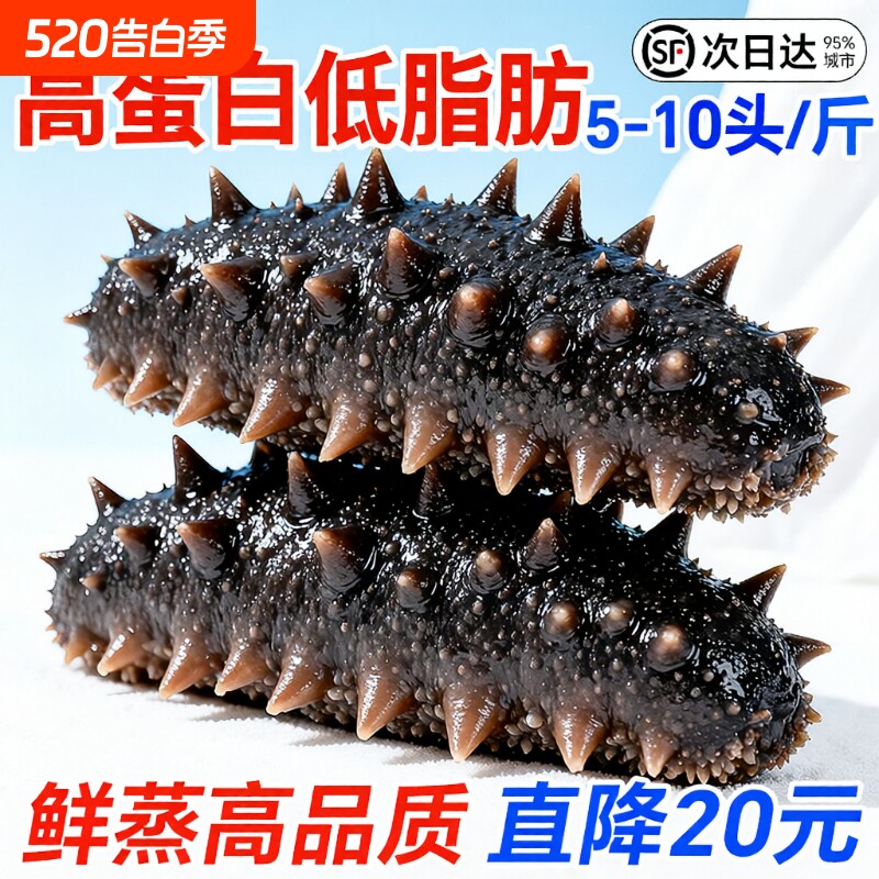 即食海参鲜活大连野生海生辽参刺参特价装非干货水产冷冻滋补