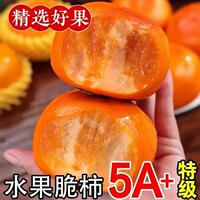 5斤！【已验货】山西巧克力脆柿