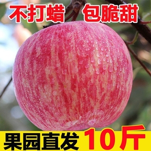 陕西红富士苹果应当季新鲜水果现摘脆甜冰糖心丑苹果整箱10包邮斤