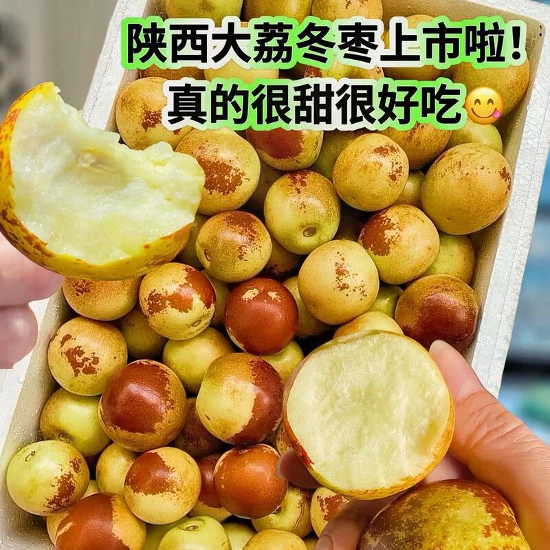 20年老树果正宗 大荔冬枣5斤枣子新鲜当季水果脆枣鲜枣甜枣大青枣