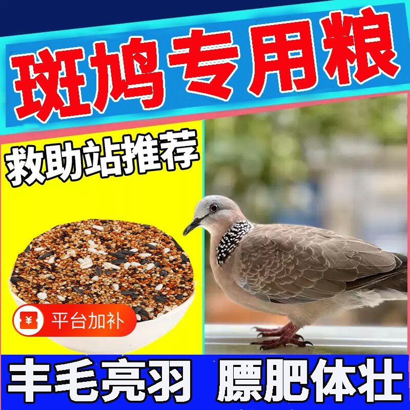 斑鸠专用粮鹦鹉粮食五色黍子饲料鸽子鸟粮幼鸟混合鸽粮玉米食物