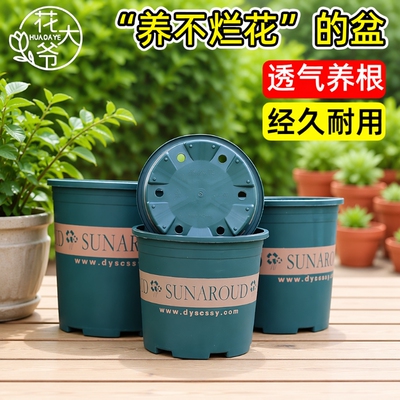 大口径加仑盆带托盘|千人加购