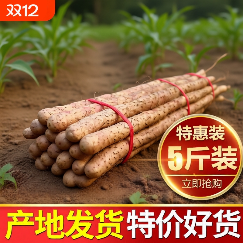 铁棍山药新鲜淮山药铁杆山药小白嘴现挖山药5斤非温县垆土怀山药