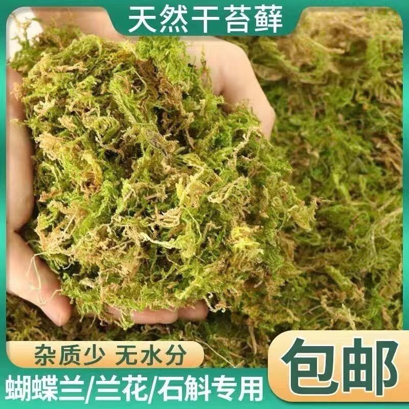 干苔藓水苔天然青苔兰花蝴蝶兰石斛种植专用营养土爬宠乌龟垫材