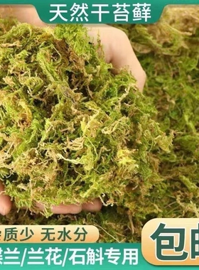 干苔藓水苔天然青苔兰花蝴蝶兰石斛种植专用营养土爬宠乌龟垫材