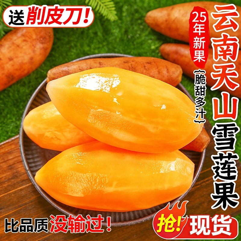 天山雪莲果10斤新鲜水果应当季云南孕妇红心雪连果黄心整箱包邮