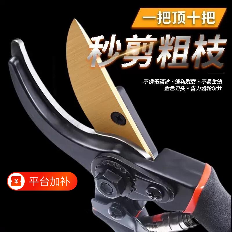 精工修剪树枝剪刀专用花木剪修枝剪刀果树木剪子园艺园林家用