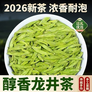 新茶龙井茶叶明前2026头采新浓香型正宗绿茶罐装口粮茶叶食用优选