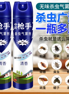 杀虫剂气雾剂家用室内灭蚊子