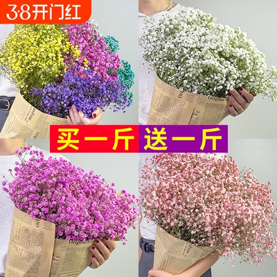 满天星轻奢干花摆件|万人加购