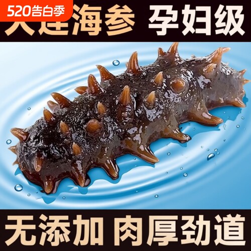海参即食大连鲜活冷冻辽参海生叁刺参礼盒500g真空包装年货水产