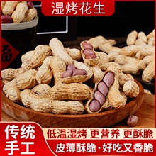 湿烤粒粒红花生500g 硬香多仁龙岩花生带壳香酥红衣花生零食