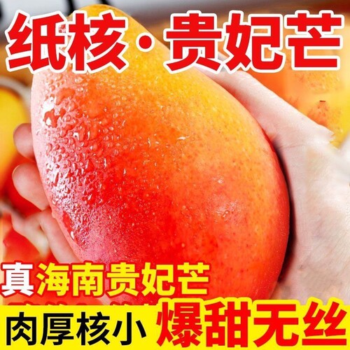海南三亚树上自然熟贵妃芒果3/5/8/9斤现摘新鲜芒果热带水果应季