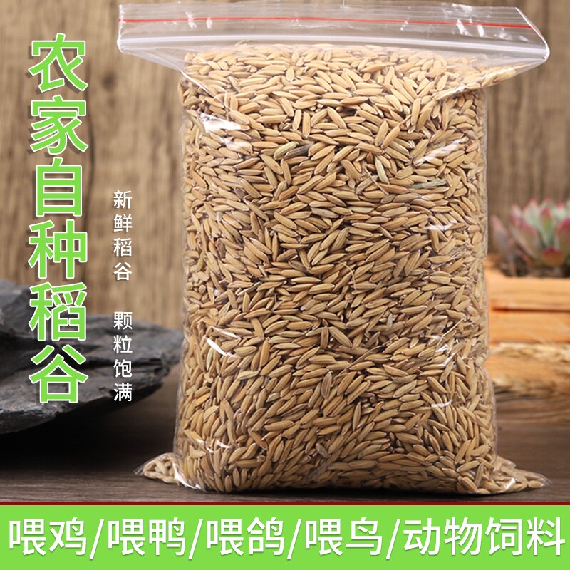 10斤装水稻谷子带壳喂鸡鸭鹅鸽子饲料五谷杂粮20/50/100斤