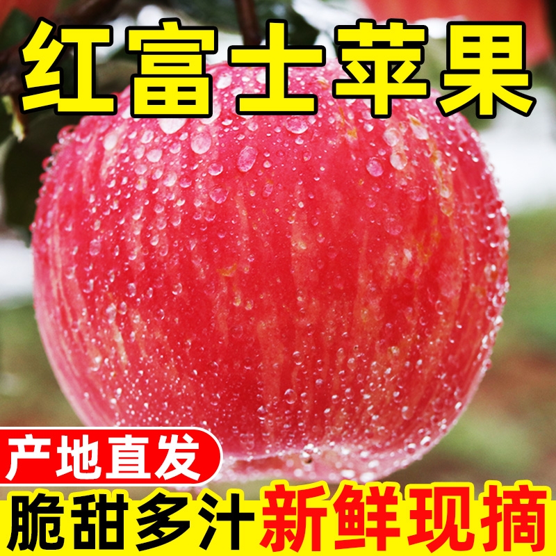 陕西红红富士苹果当季水果新鲜冰糖心苹果平安10斤整箱包邮脆甜