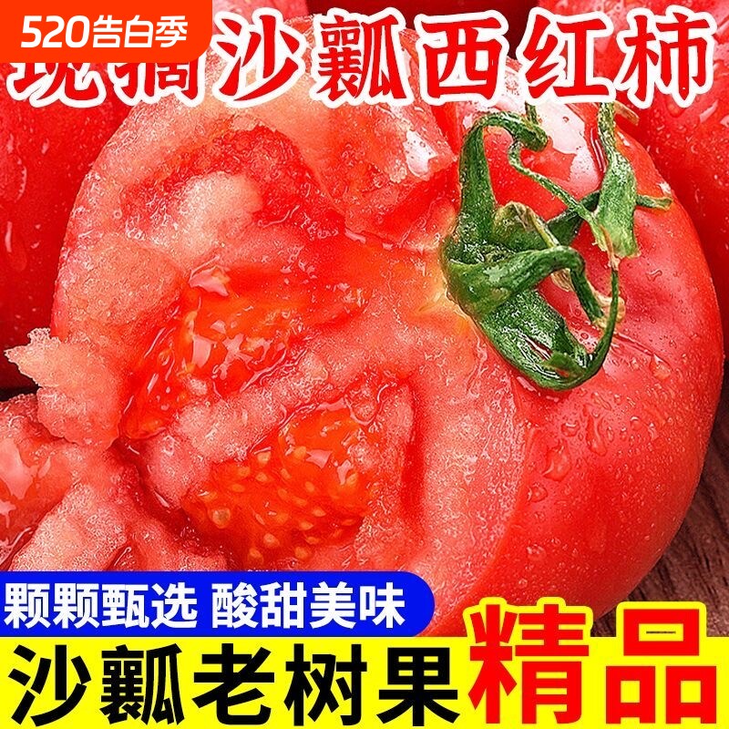 露天沙瓤番茄生吃西红柿新鲜大番茄自然熟水果粉柿子5斤装现摘