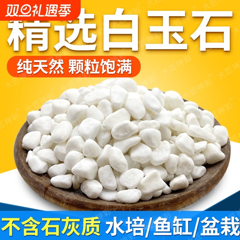 小白石子水培铺面石鹅卵石鱼缸造景白色石头花盆栽装饰庭院原石