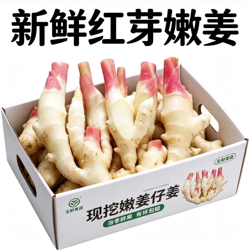 2026现挖嫩姜红芽新鲜大仔姜子姜芽生姜老糖醋姜泡姜食用当季姜汁图片