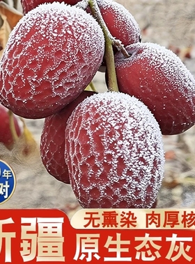 新疆若羌原生态灰枣煲汤红枣小枣新货一大袋带土新鲜未清洗吊干枣