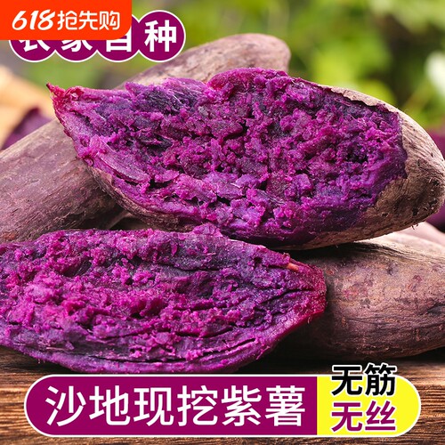 新鲜现挖沙地紫薯软糯香甜紫红薯